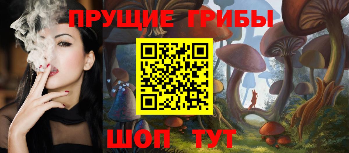 Галлюциногенные грибы мицелий  Вход с VPN  Назрань 