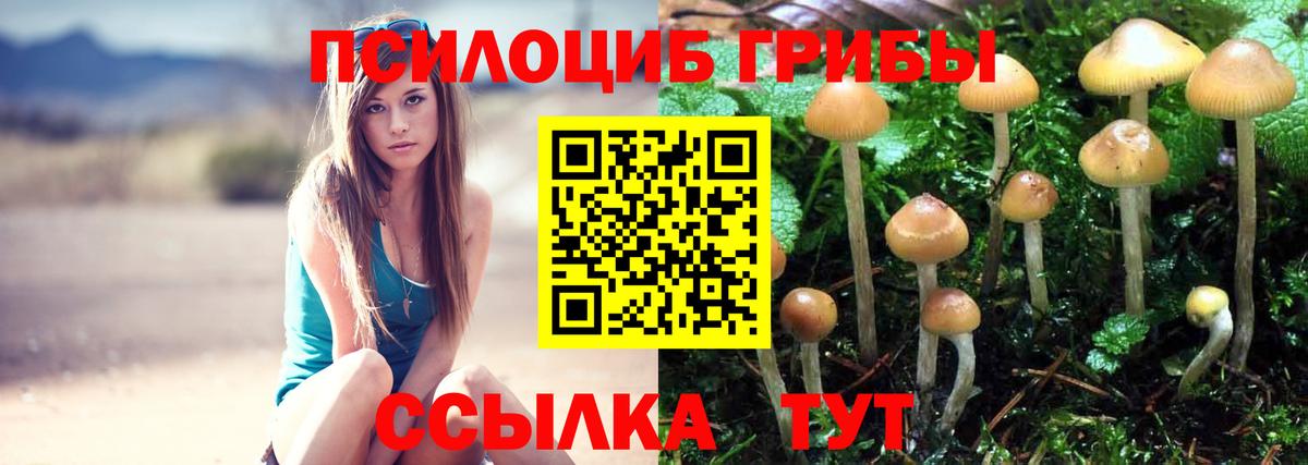 Псилоцибиновые грибы Psilocybine cubensis Назрань